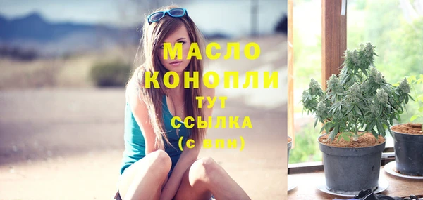 шишки Медвежьегорск