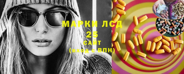 шишки Медвежьегорск