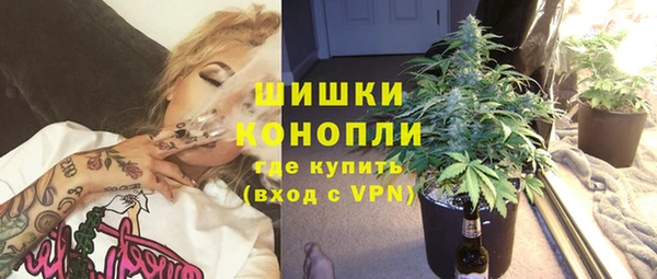 шишки Медвежьегорск