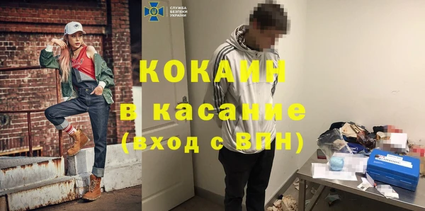 шишки Медвежьегорск