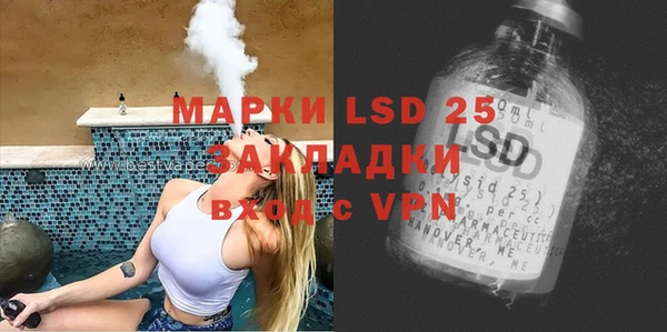 шишки Медвежьегорск