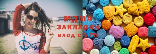шишки Медвежьегорск
