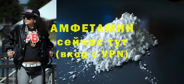 шишки Медвежьегорск