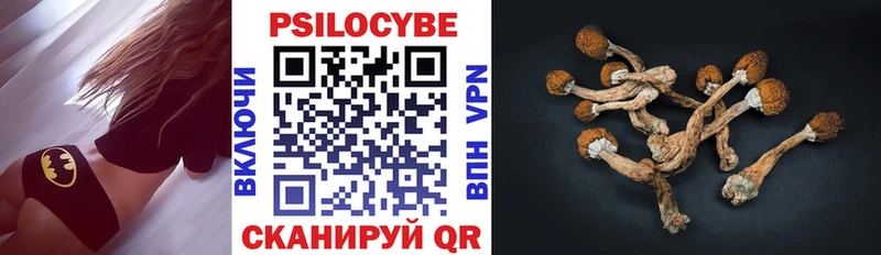 цена наркотик  Иноземцево  Галлюциногенные грибы Magic Shrooms 