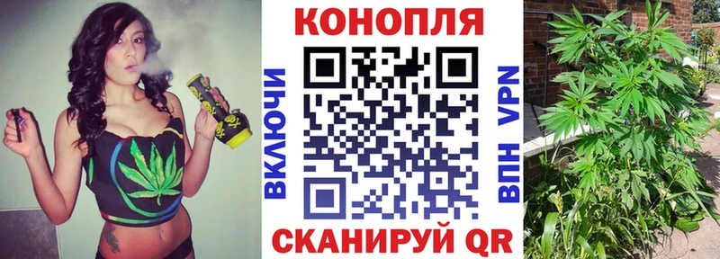 где продают   Иноземцево  Канабис White Widow 